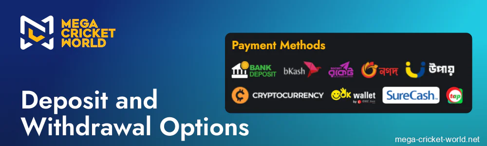 Mega Cricket World payment options