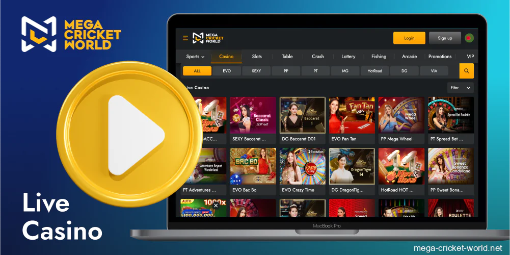 Mega Cricket World live casino excitement