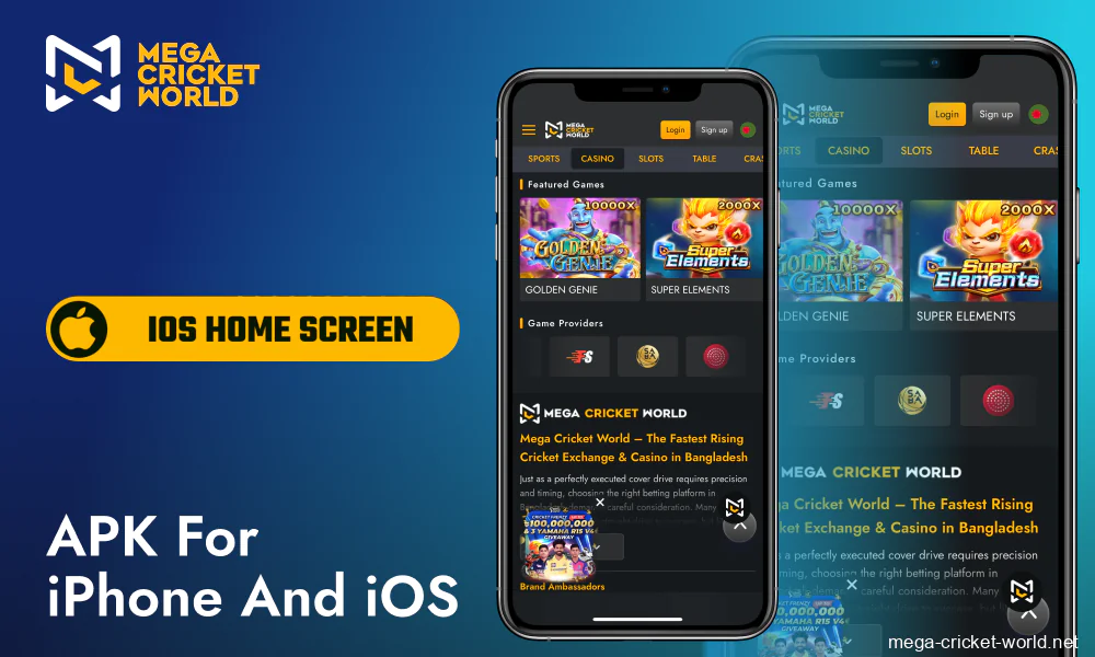 Installation guide for Mega Cricket World iOS app on iPhone and iPad