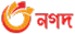 Nagad logo